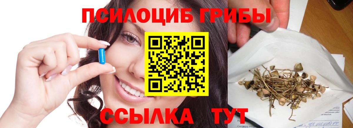Богданович  Галлюциногенные грибы ЛСД  Псилоцибиновые грибы Cubensis  где можно купить   Вход с VPN 