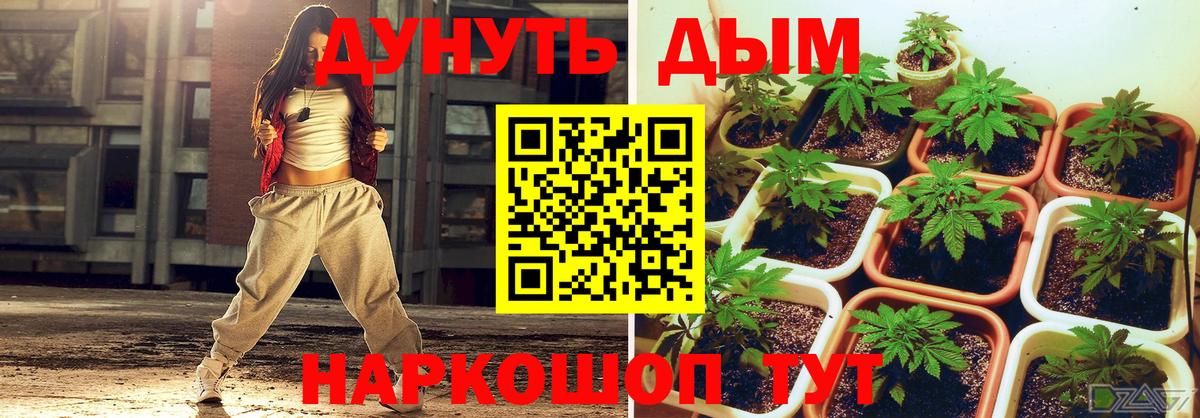 МАРИХУАНА Bruce Banner  Вход с VPN  Богданович  Шишки марихуана сатива  Канабис LSD WEED 
